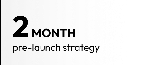 2 Month Pre-launch Strategy